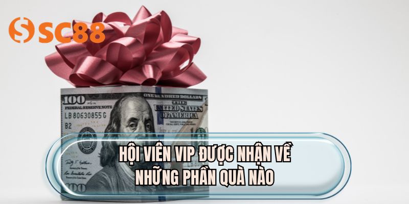 Hội viên VIP được nhận về những phần quà nào